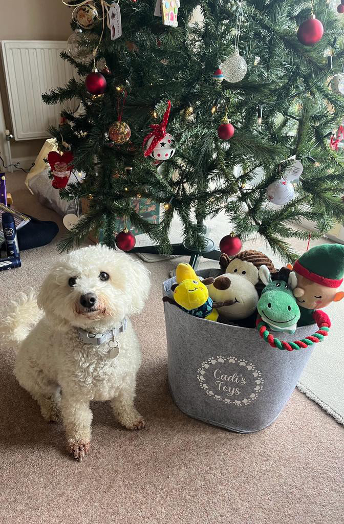 Personalised Pet Storage Basket - Felt Storage - Dog Toys - Paw Prints